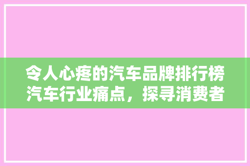 令人心疼的汽车品牌排行榜汽车行业痛点，探寻消费者心声