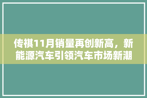 传祺11月销量再创新高，新能源汽车引领汽车市场新潮流