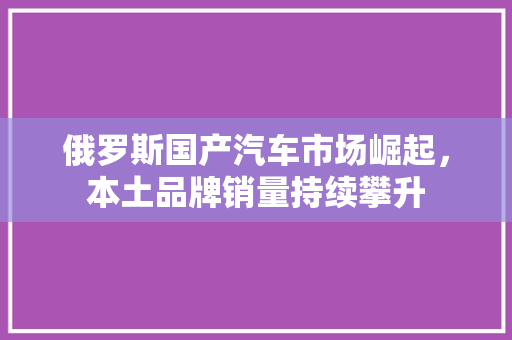 俄罗斯国产汽车市场崛起，本土品牌销量持续攀升