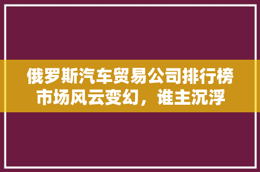 俄罗斯汽车贸易公司排行榜市场风云变幻，谁主沉浮