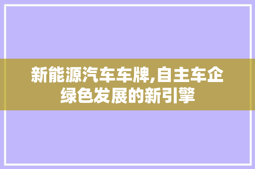 新能源汽车车牌,自主车企绿色发展的新引擎