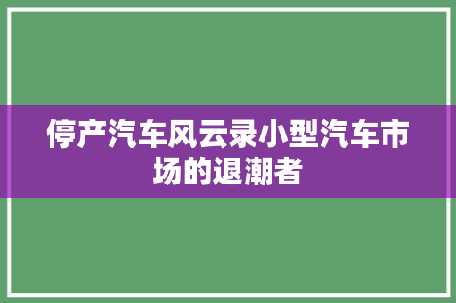 停产汽车风云录小型汽车市场的退潮者