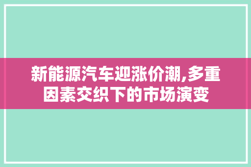 新能源汽车迎涨价潮,多重因素交织下的市场演变