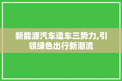 新能源汽车造车三势力,引领绿色出行新潮流