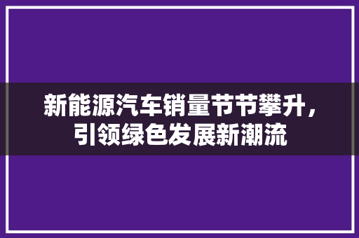 新能源汽车销量节节攀升，引领绿色发展新潮流
