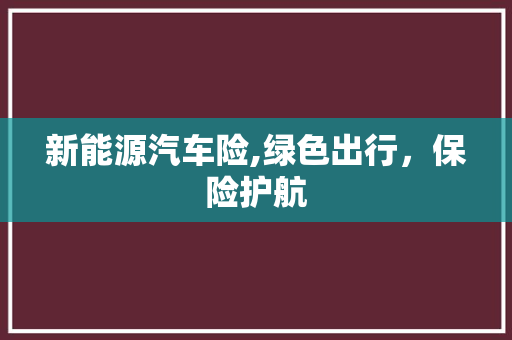 新能源汽车险,绿色出行，保险护航