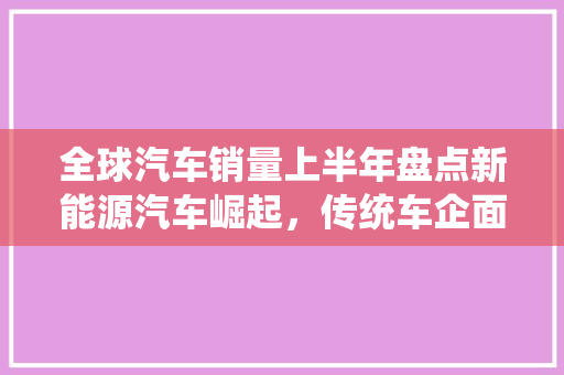 全球汽车销量上半年盘点新能源汽车崛起，传统车企面临挑战