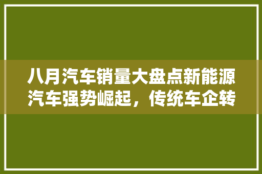 八月汽车销量大盘点新能源汽车强势崛起，传统车企转型加速