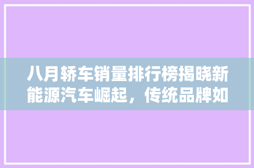八月轿车销量排行榜揭晓新能源汽车崛起，传统品牌如何应对