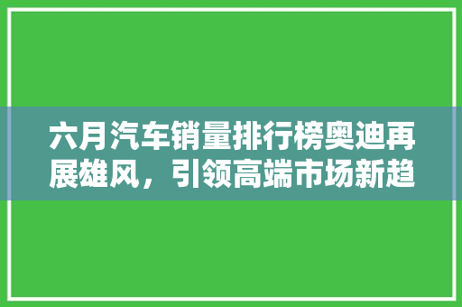 六月汽车销量排行榜奥迪再展雄风，引领高端市场新趋势