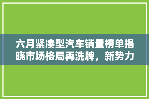 六月紧凑型汽车销量榜单揭晓市场格局再洗牌，新势力崛起