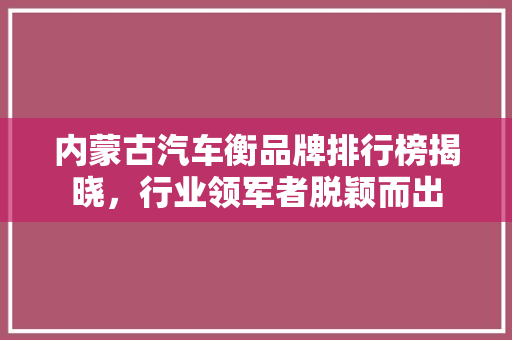 内蒙古汽车衡品牌排行榜揭晓，行业领军者脱颖而出