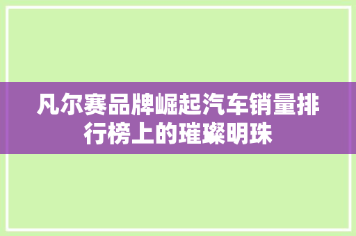 凡尔赛品牌崛起汽车销量排行榜上的璀璨明珠