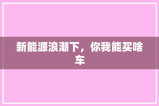 新能源浪潮下，你我能买啥车