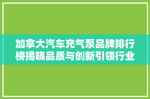 加拿大汽车充气泵品牌排行榜揭晓品质与创新引领行业发展