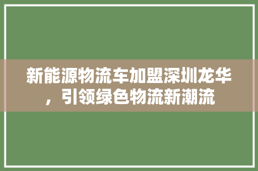 新能源物流车加盟深圳龙华，引领绿色物流新潮流