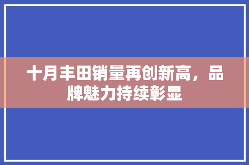 十月丰田销量再创新高，品牌魅力持续彰显