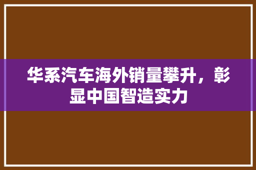华系汽车海外销量攀升，彰显中国智造实力
