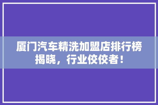 厦门汽车精洗加盟店排行榜揭晓，行业佼佼者！