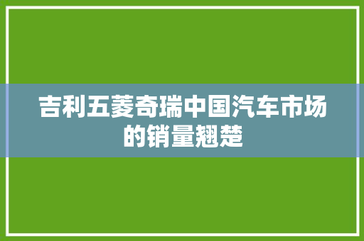 吉利五菱奇瑞中国汽车市场的销量翘楚