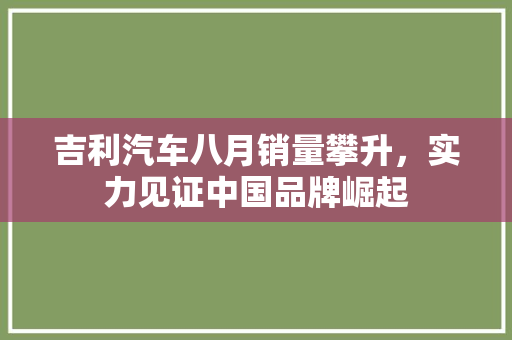 吉利汽车八月销量攀升，实力见证中国品牌崛起