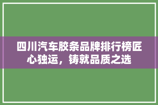 四川汽车胶条品牌排行榜匠心独运，铸就品质之选