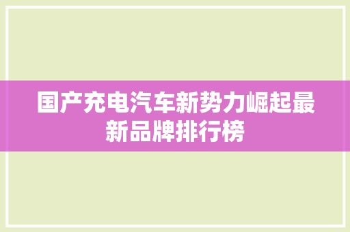 国产充电汽车新势力崛起最新品牌排行榜
