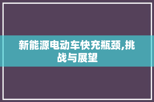 新能源电动车快充瓶颈,挑战与展望