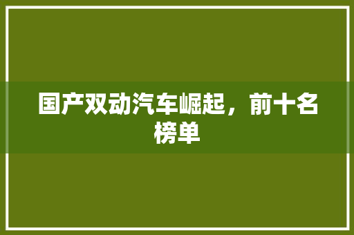 国产双动汽车崛起，前十名榜单