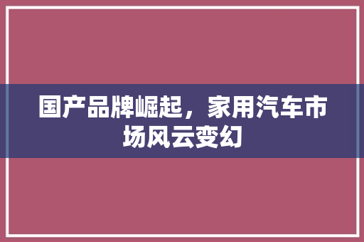 国产品牌崛起，家用汽车市场风云变幻