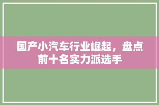 国产小汽车行业崛起，盘点前十名实力派选手
