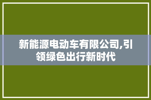 新能源电动车有限公司,引领绿色出行新时代