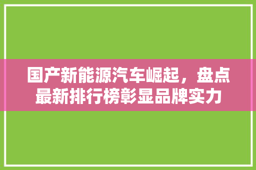 国产新能源汽车崛起，盘点最新排行榜彰显品牌实力