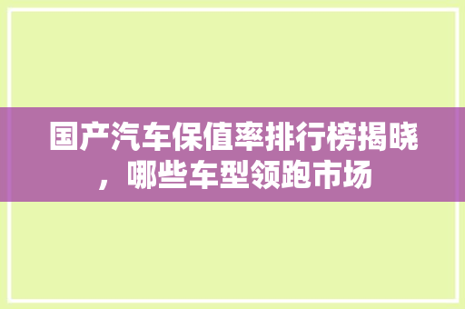 国产汽车保值率排行榜揭晓，哪些车型领跑市场