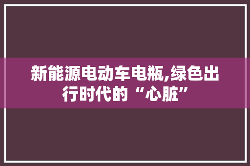 新能源电动车电瓶,绿色出行时代的“心脏”