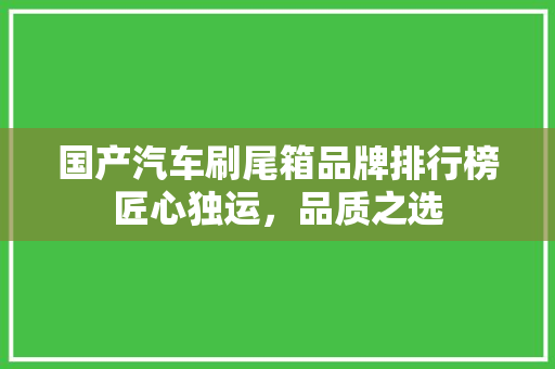 国产汽车刷尾箱品牌排行榜匠心独运，品质之选