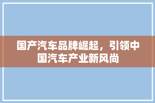 国产汽车品牌崛起，引领中国汽车产业新风尚