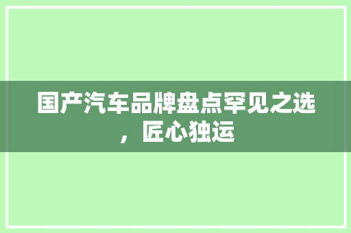 国产汽车品牌盘点罕见之选，匠心独运