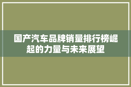 国产汽车品牌销量排行榜崛起的力量与未来展望