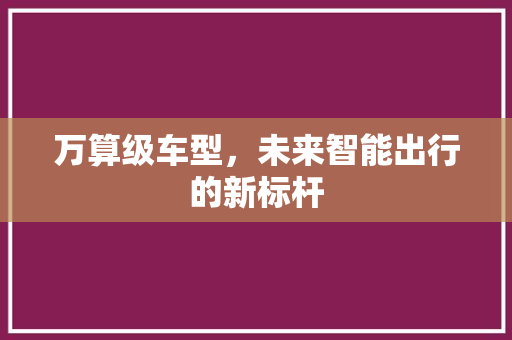 万算级车型，未来智能出行的新标杆