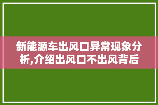 新能源车出风口异常现象分析,介绍出风口不出风背后的秘密