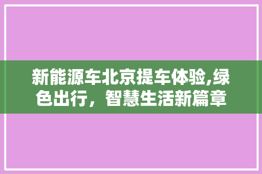 新能源车北京提车体验,绿色出行，智慧生活新篇章