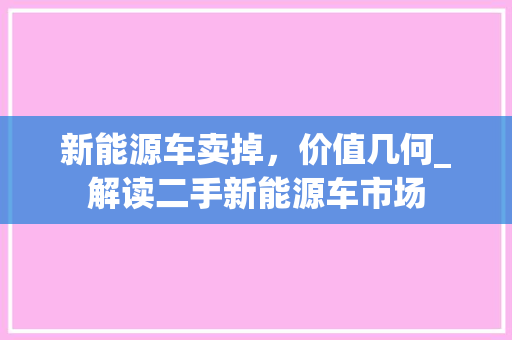 新能源车卖掉，价值几何_解读二手新能源车市场