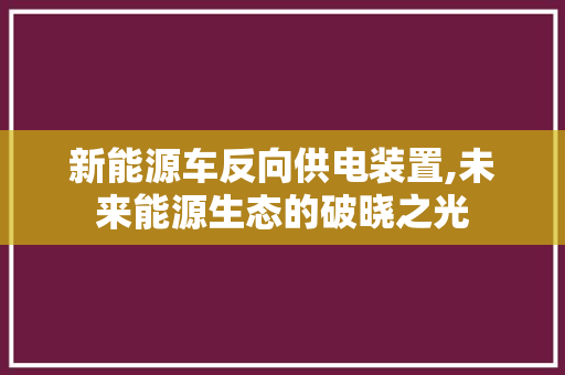 新能源车反向供电装置,未来能源生态的破晓之光