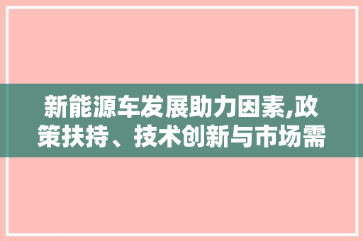 新能源车发展助力因素,政策扶持、技术创新与市场需求