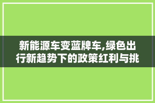 新能源车变蓝牌车,绿色出行新趋势下的政策红利与挑战