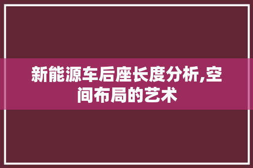 新能源车后座长度分析,空间布局的艺术
