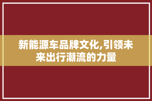 新能源车品牌文化,引领未来出行潮流的力量
