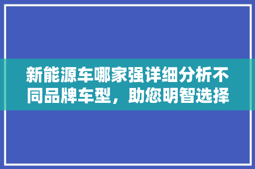 新能源车哪家强详细分析不同品牌车型，助您明智选择