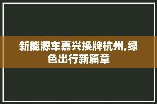 新能源车嘉兴换牌杭州,绿色出行新篇章